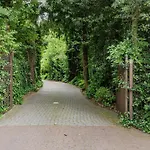 Nolan ベルゲン